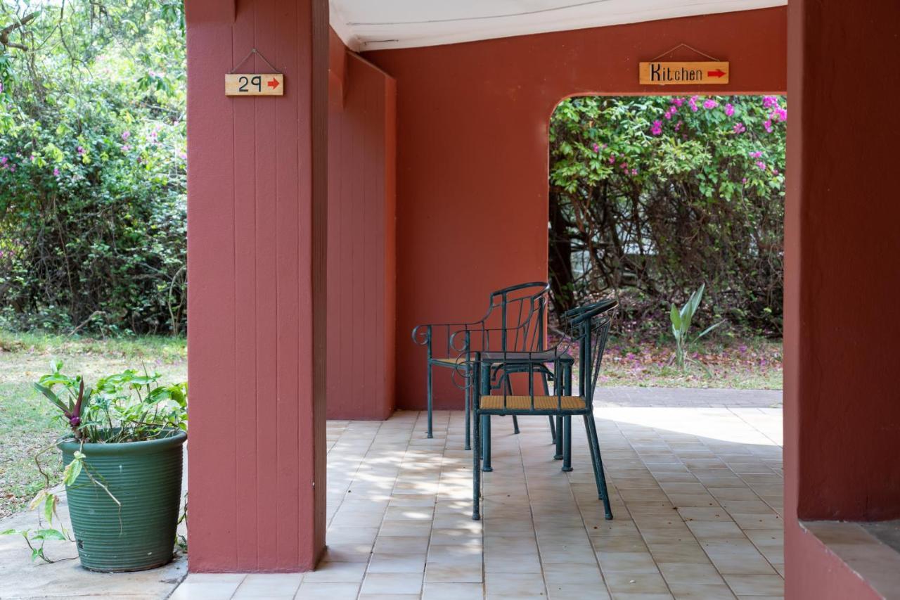 שלושלואי Gooderson Bushlands Game Lodge מראה חיצוני תמונה
