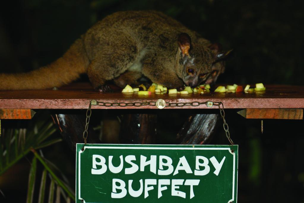 שלושלואי Gooderson Bushlands Game Lodge מראה חיצוני תמונה