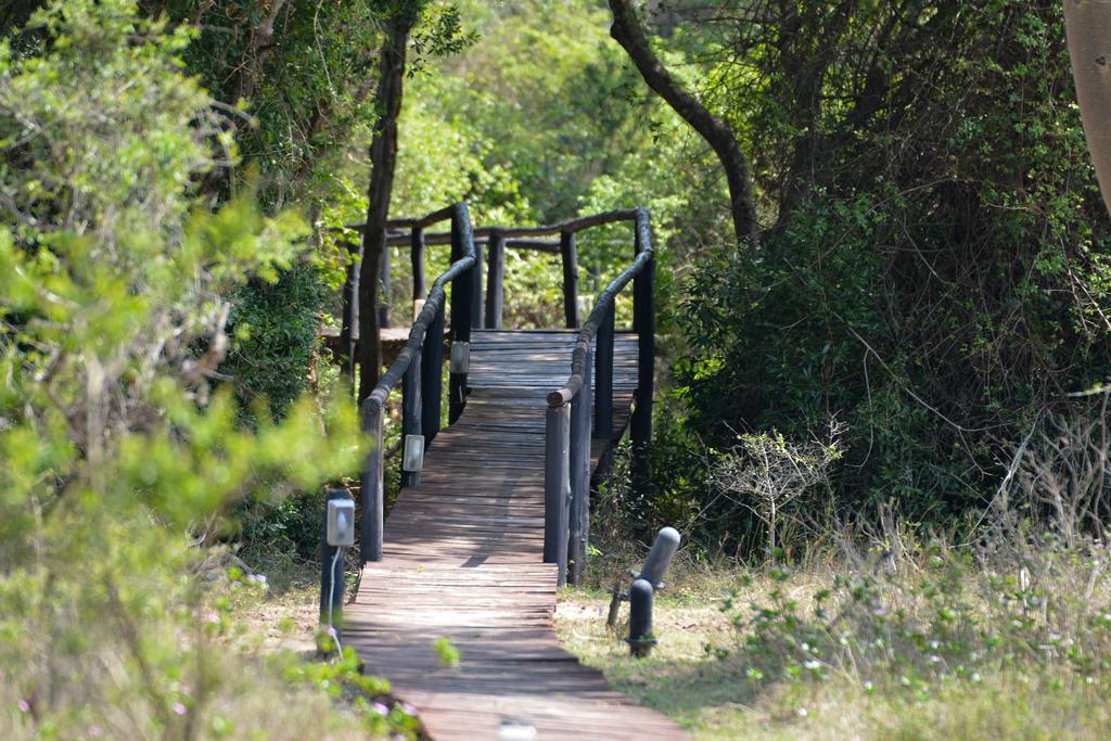 שלושלואי Gooderson Bushlands Game Lodge מראה חיצוני תמונה
