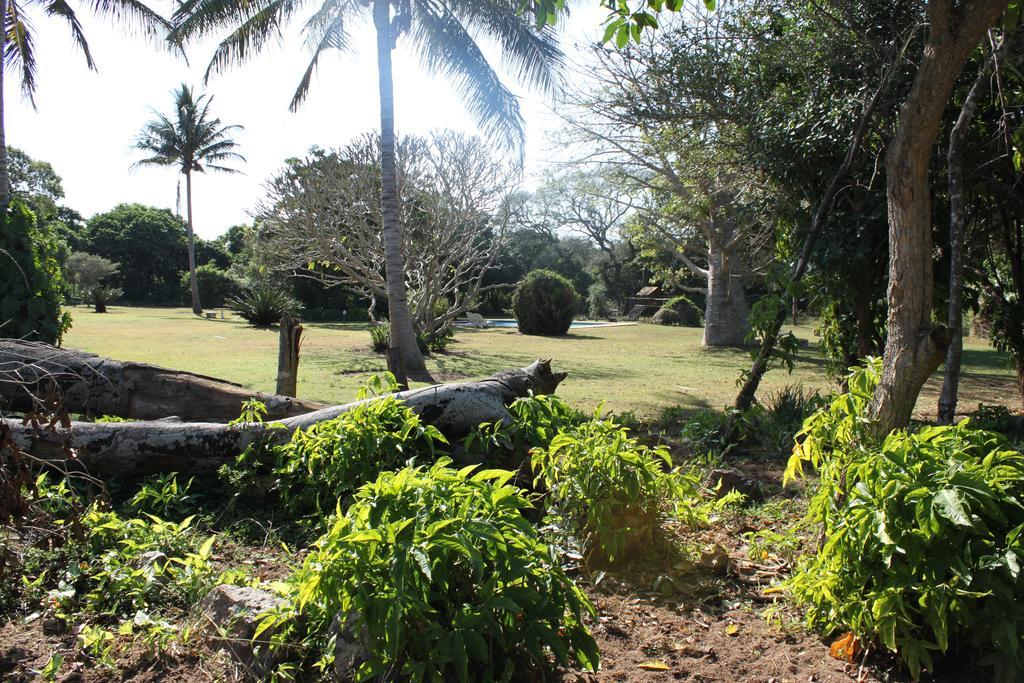 שלושלואי Gooderson Bushlands Game Lodge מראה חיצוני תמונה
