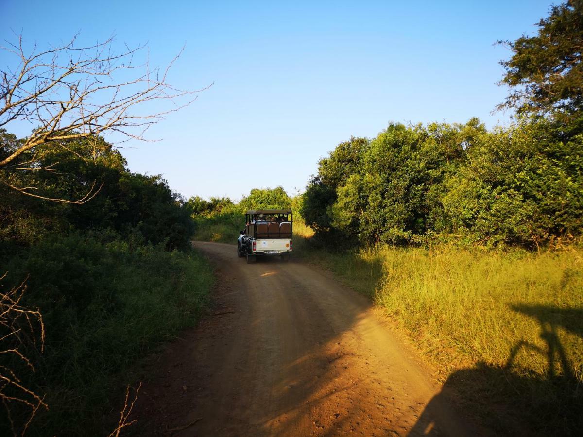 שלושלואי Gooderson Bushlands Game Lodge מראה חיצוני תמונה