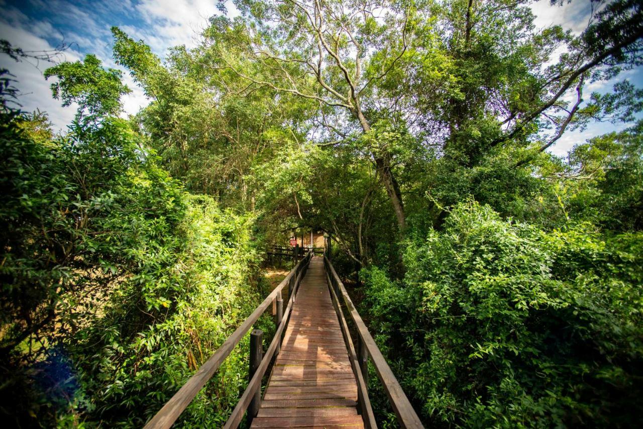 שלושלואי Gooderson Bushlands Game Lodge מראה חיצוני תמונה