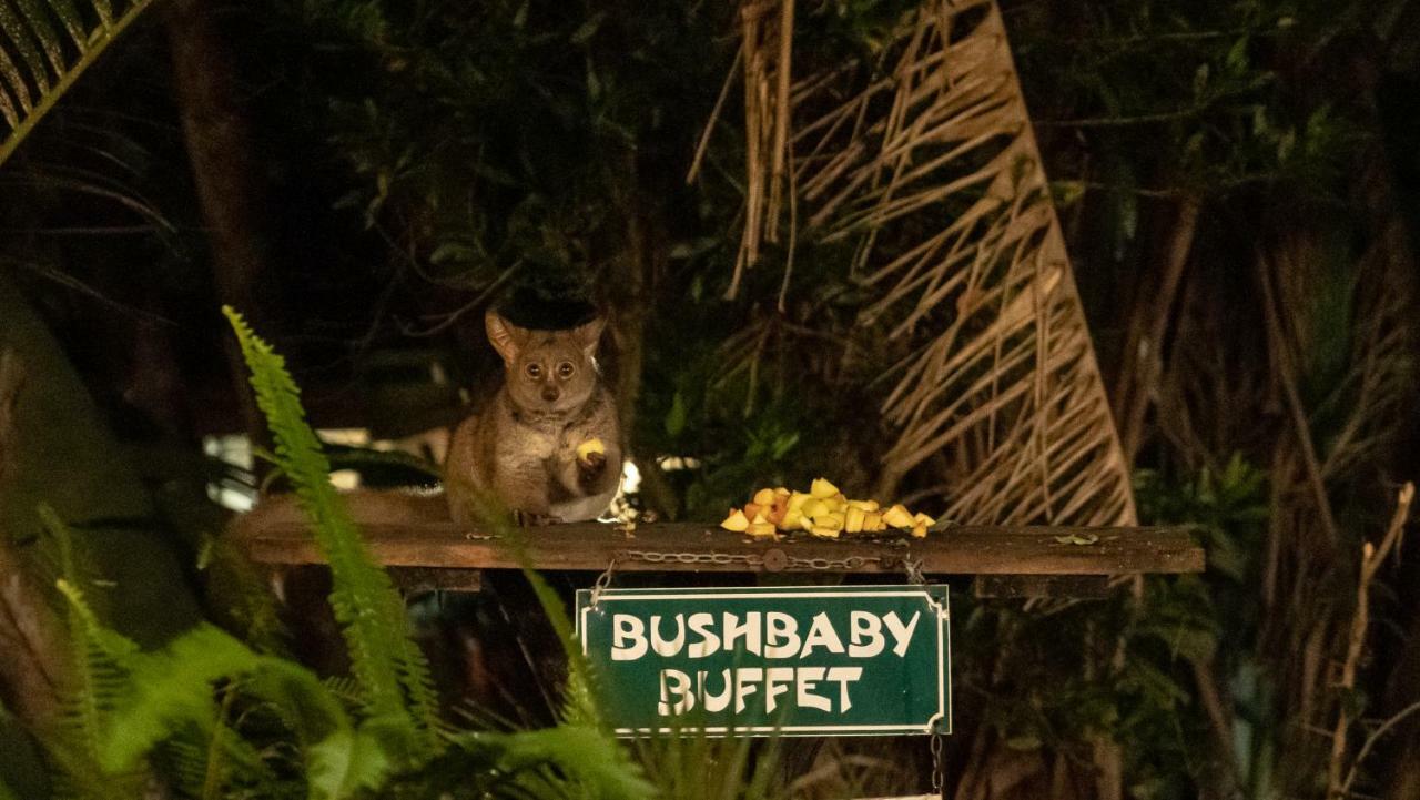 שלושלואי Gooderson Bushlands Game Lodge מראה חיצוני תמונה